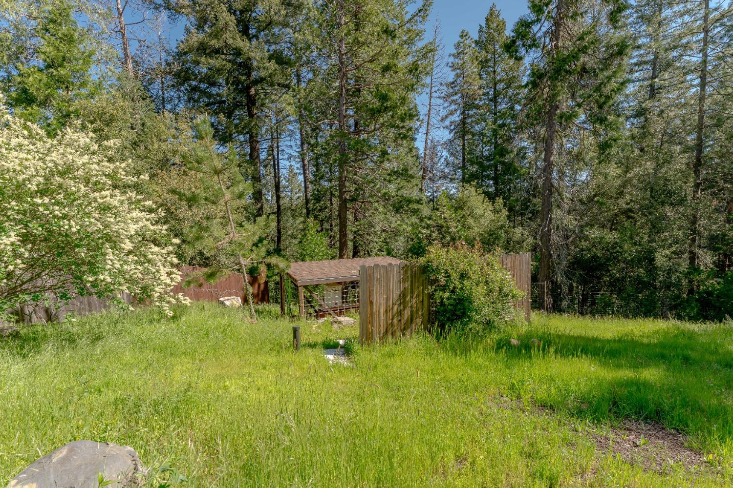 21891 Allan Road