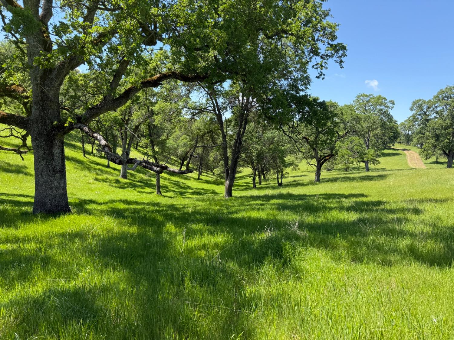 14801 Vaira Ranch Road