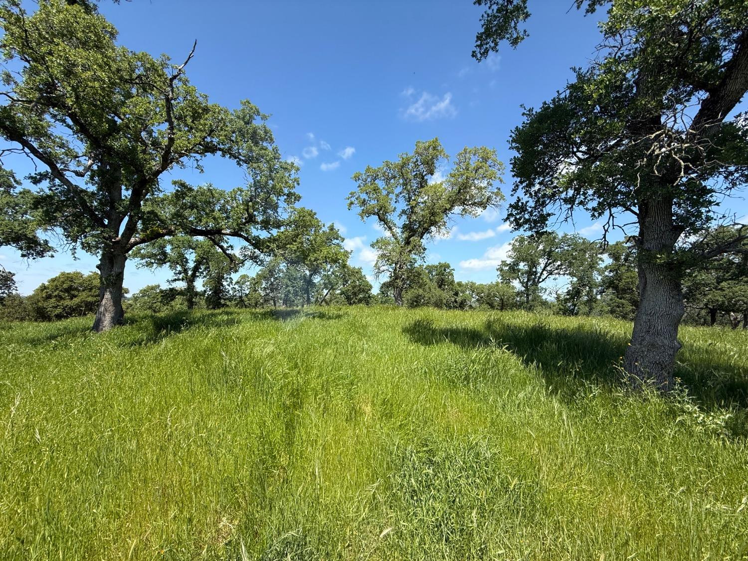 14801 Vaira Ranch Road