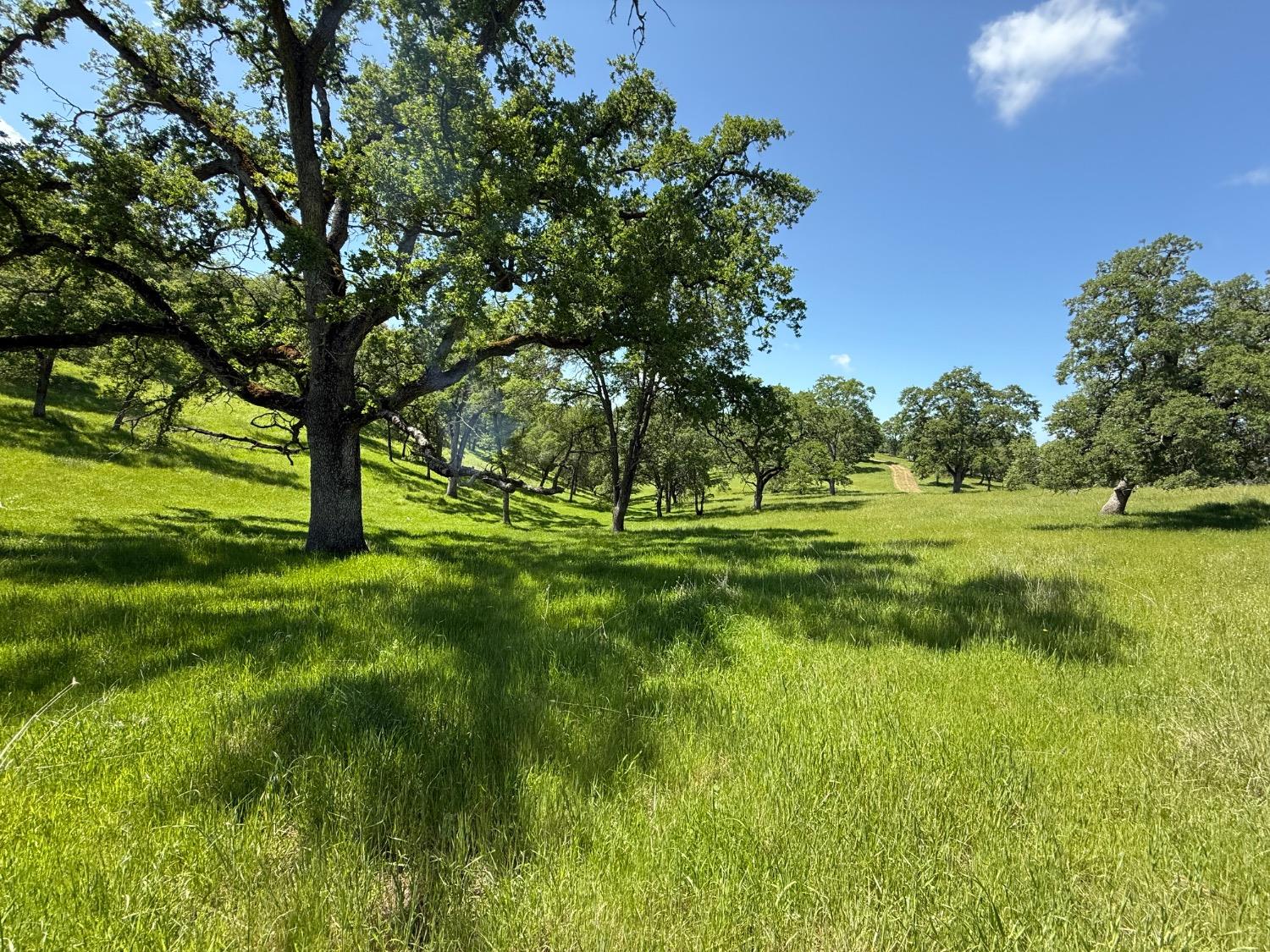 14801 Vaira Ranch Road