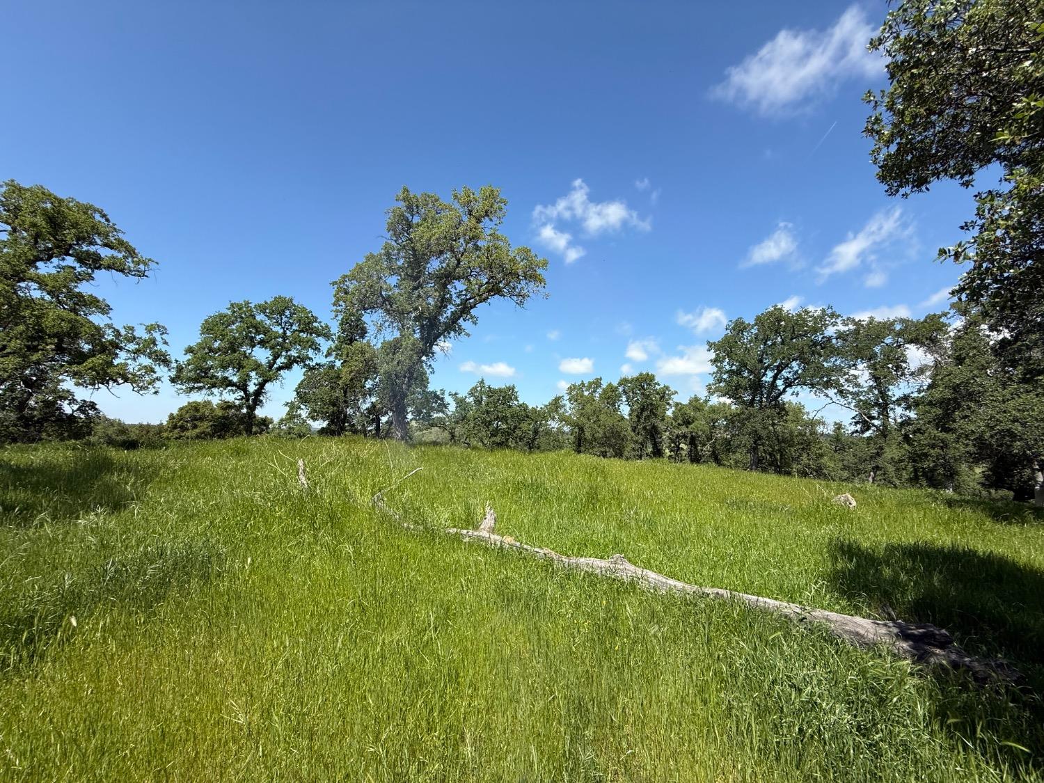 14801 Vaira Ranch Road