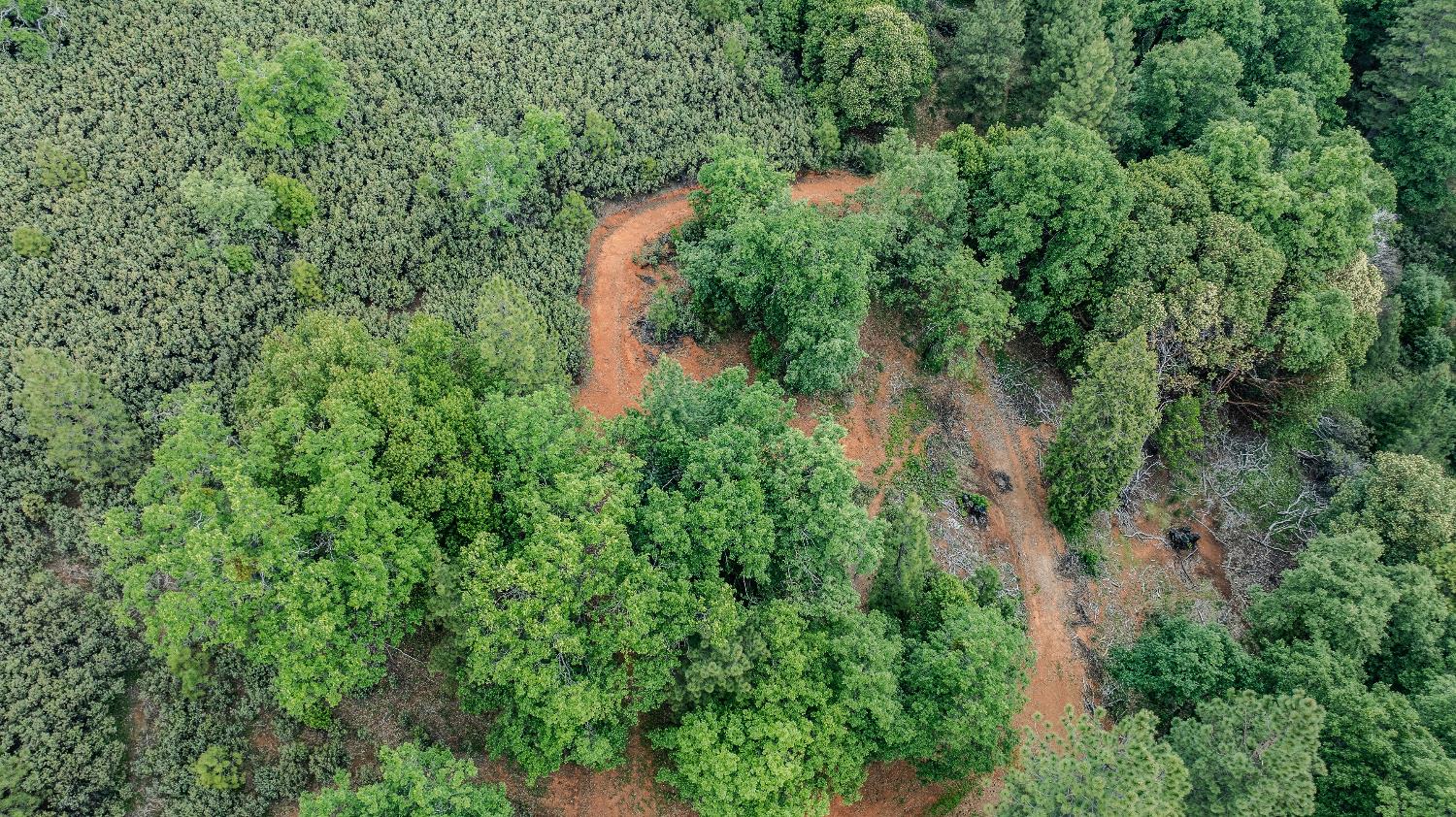 0 Silver Pionte Lote #18