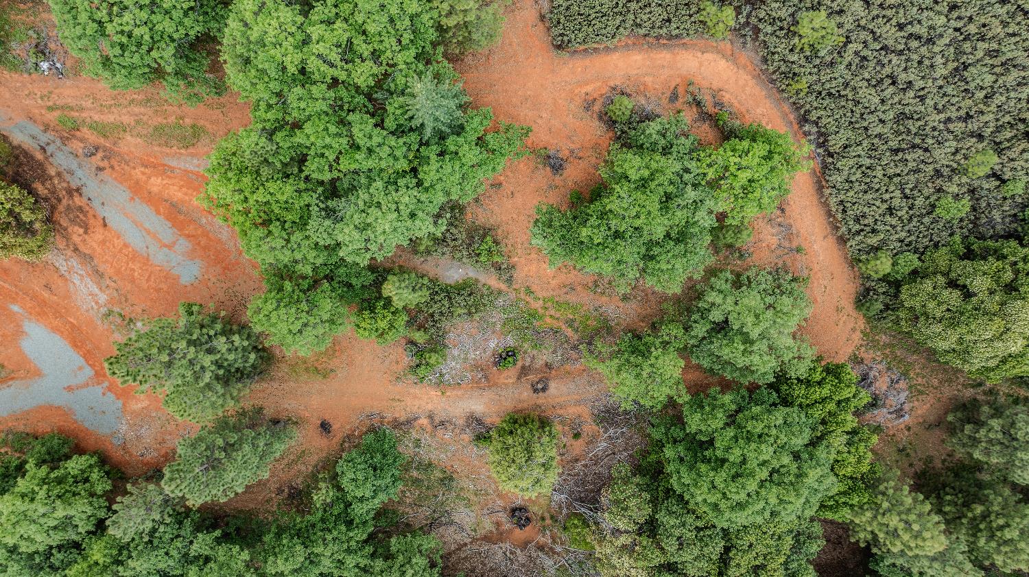 0 Silver Pionte Lote #18