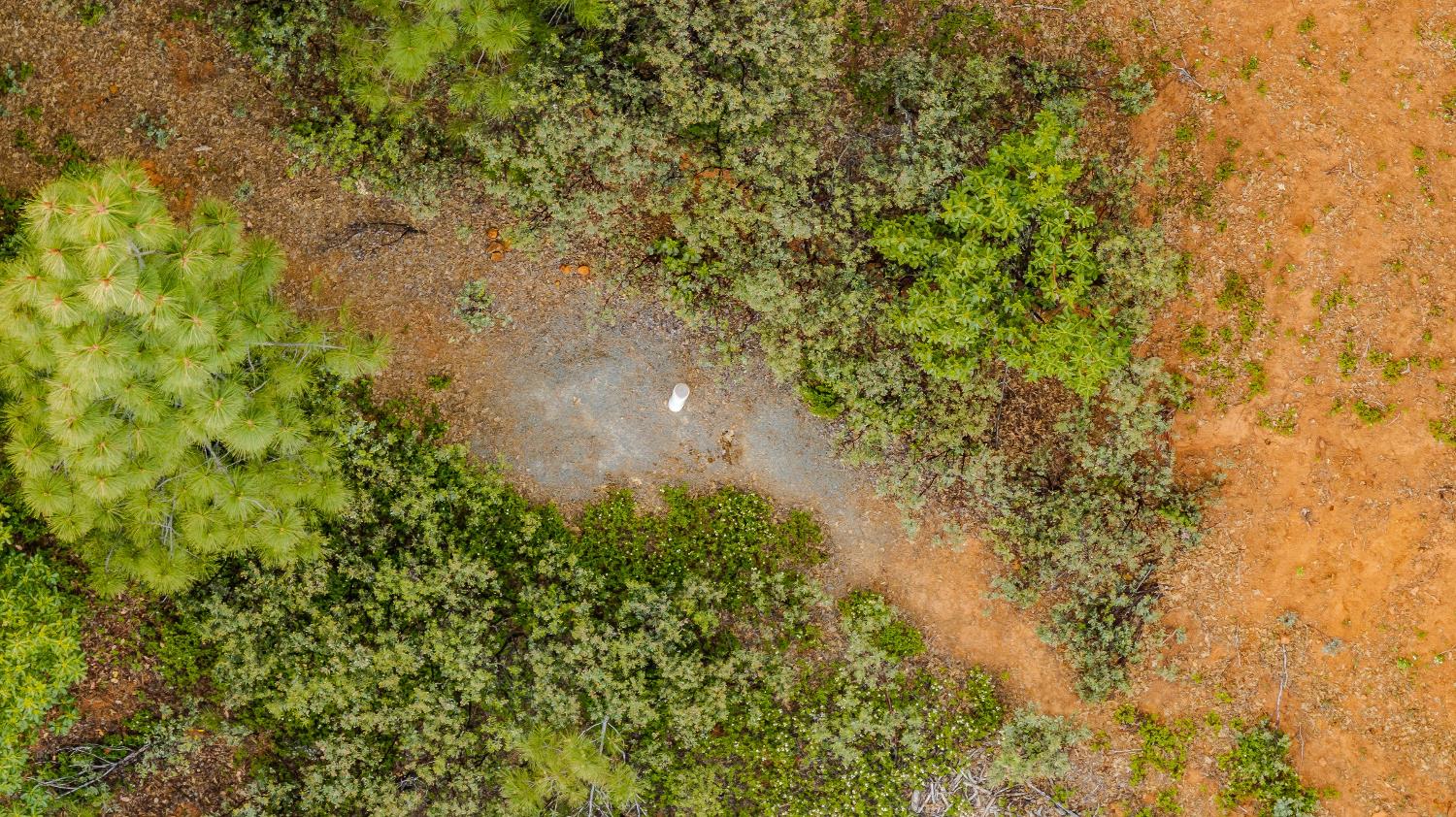 0 Silver Pionte Lote #18