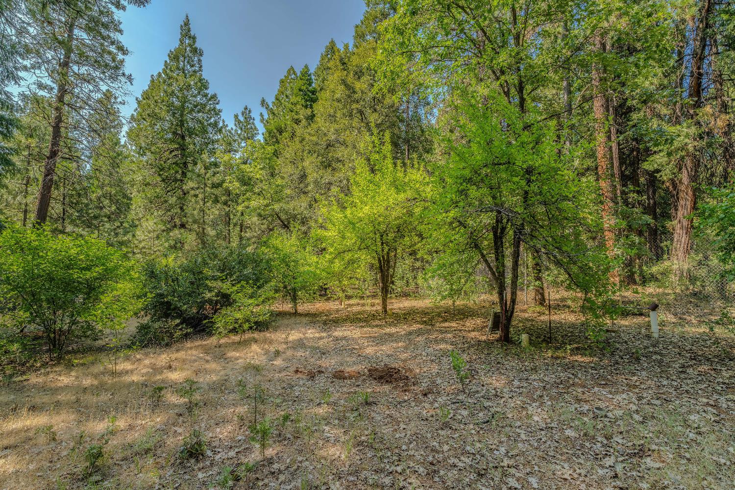 23761 Shake Ridge Road