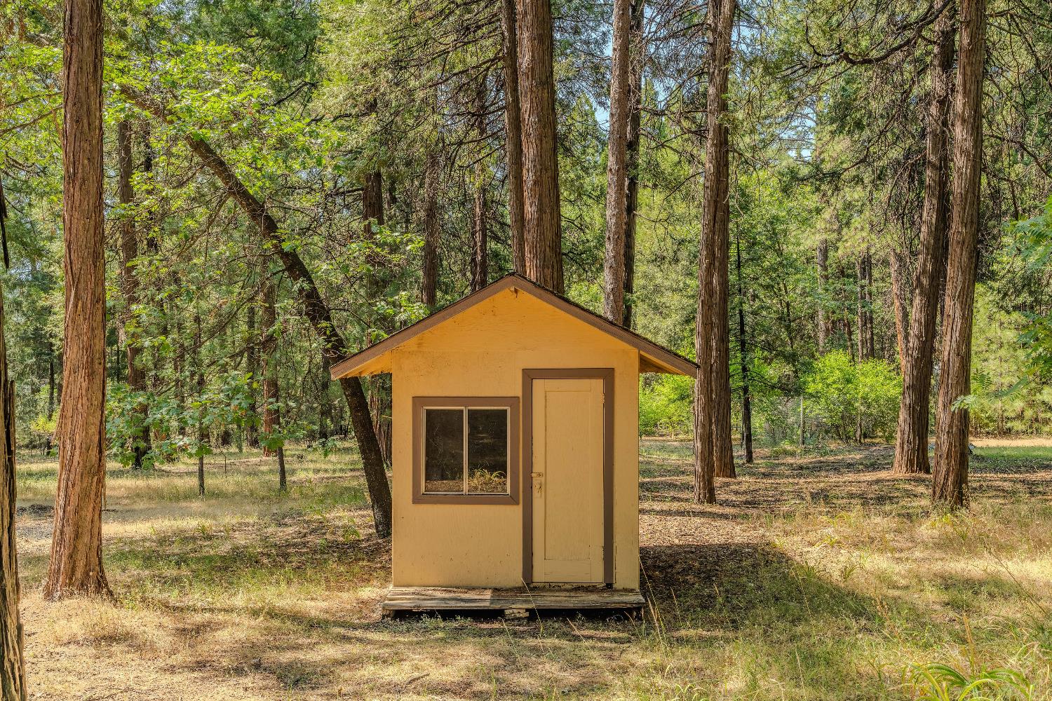 23761 Shake Ridge Road