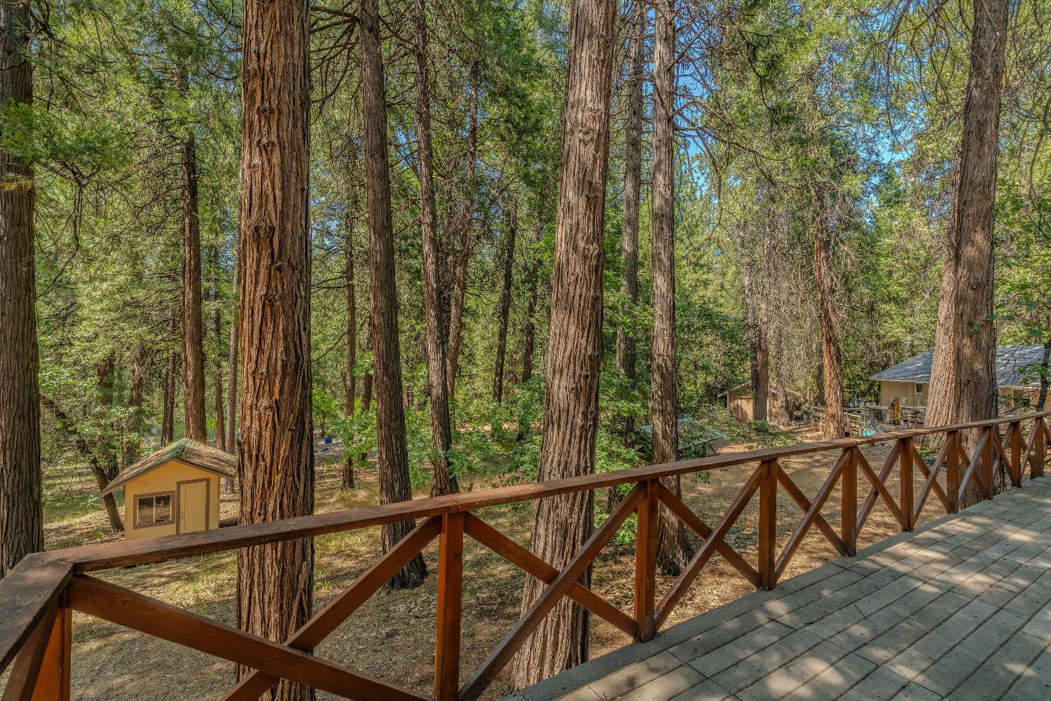 23761 Shake Ridge Road