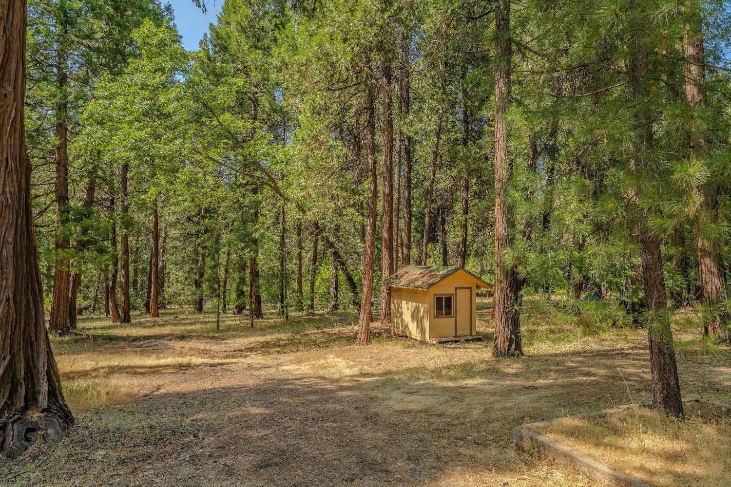 23761 Shake Ridge Road