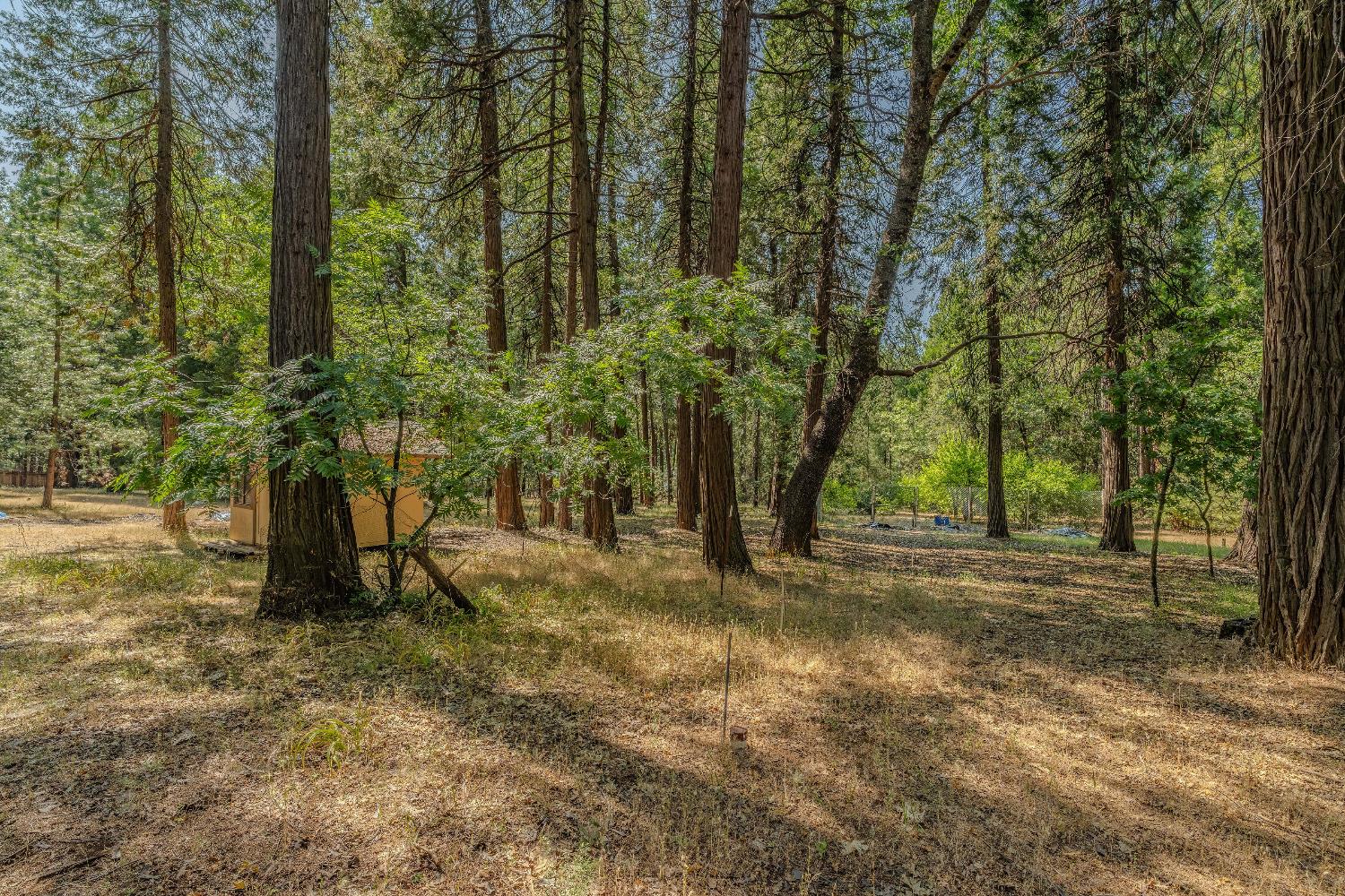 23761 Shake Ridge Road