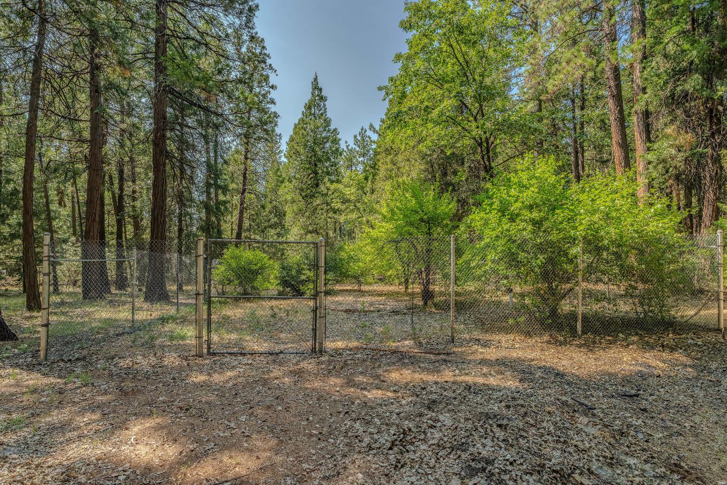 23761 Shake Ridge Road