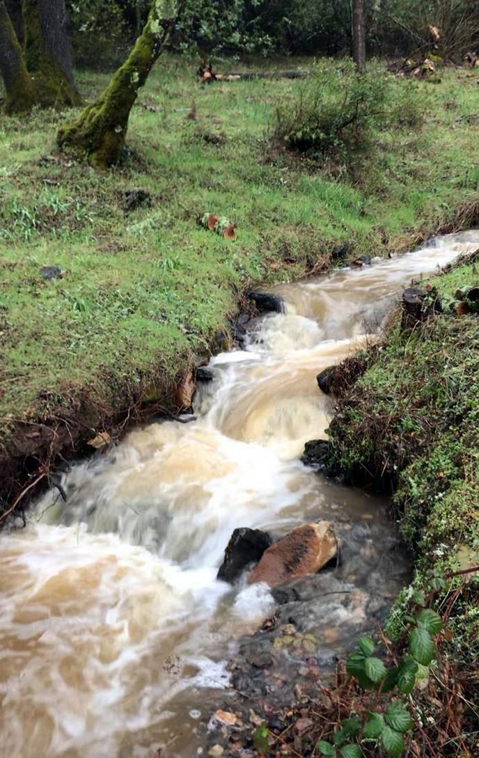 16101 Valley Bottom Road