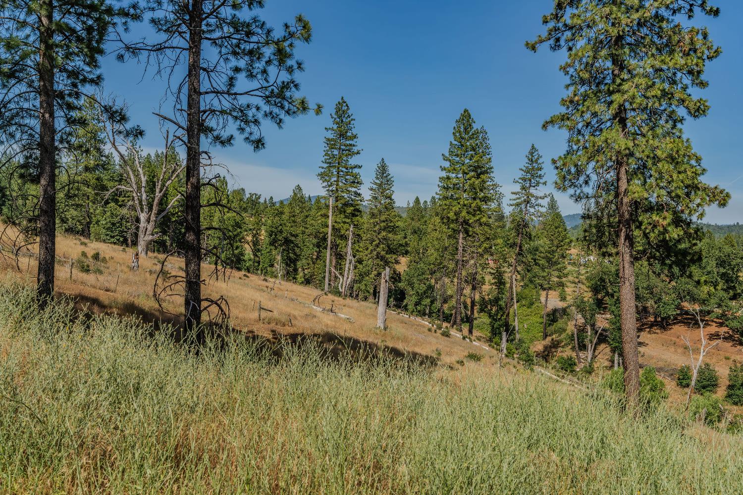 0 8133 West Old Emigrant Trail