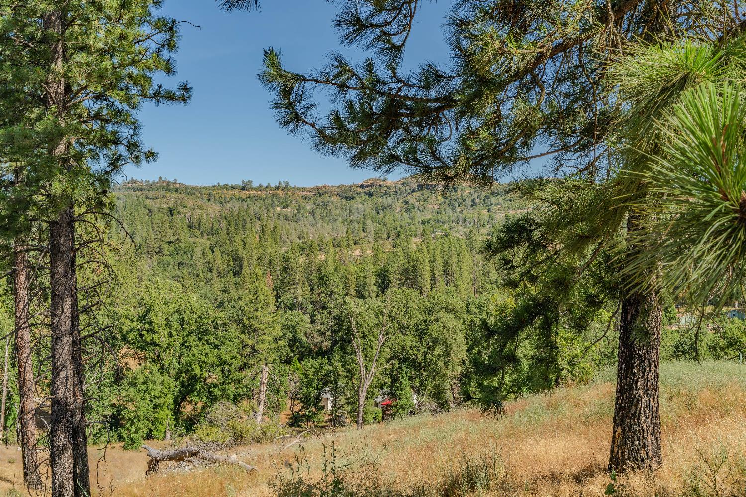 0 8133 West Old Emigrant Trail