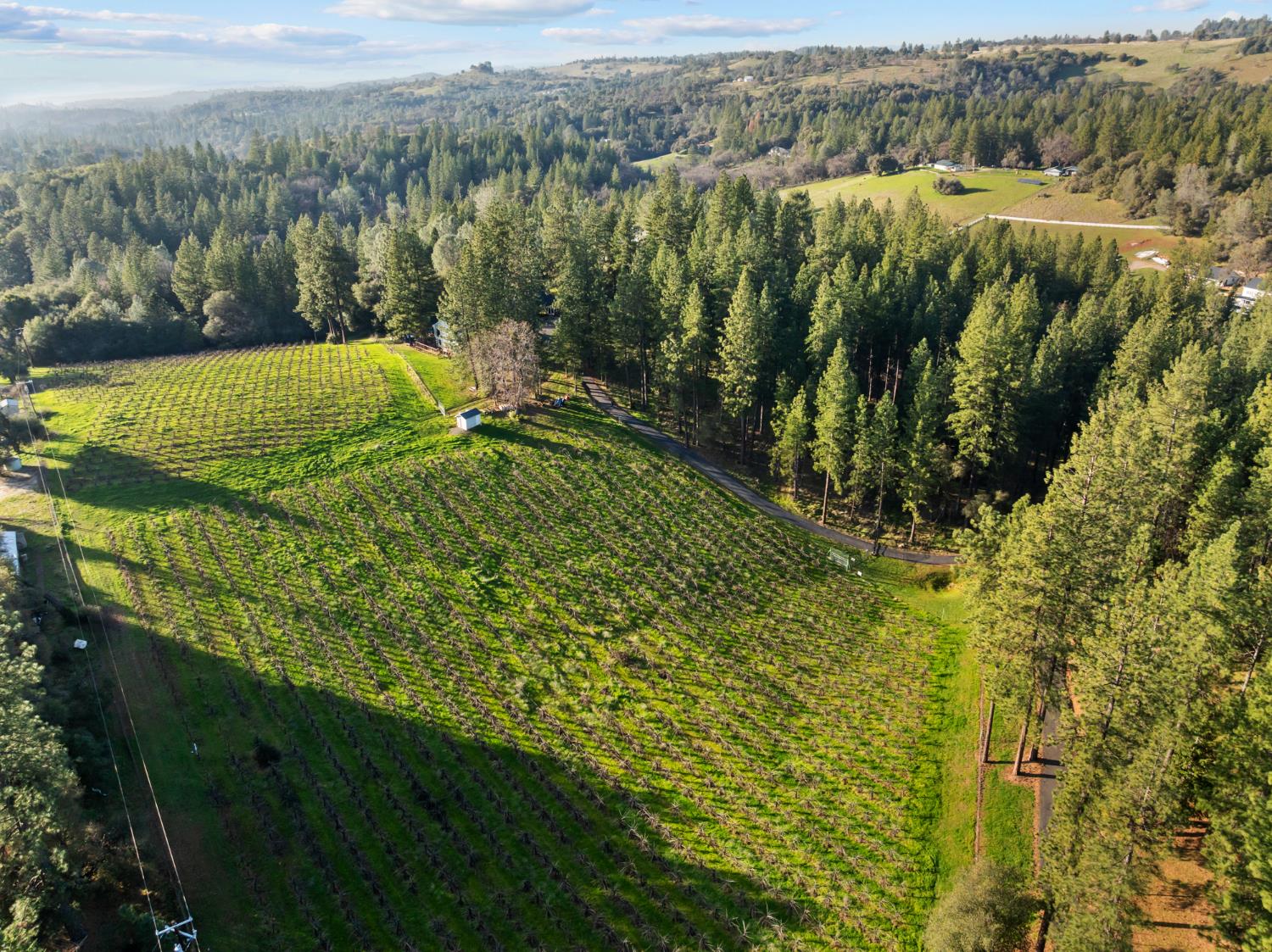 17476 Fiddletown Road