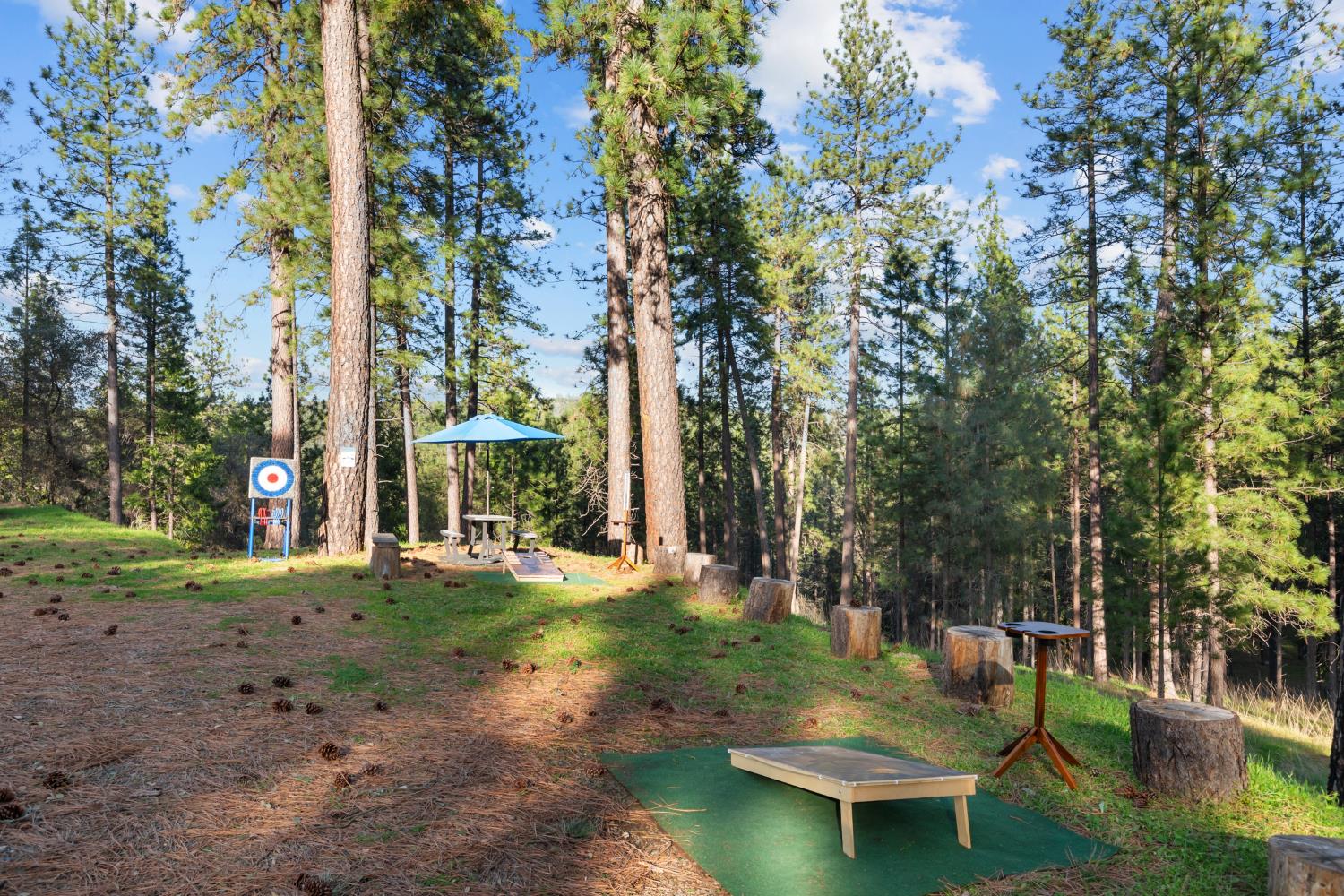 17476 Fiddletown Road