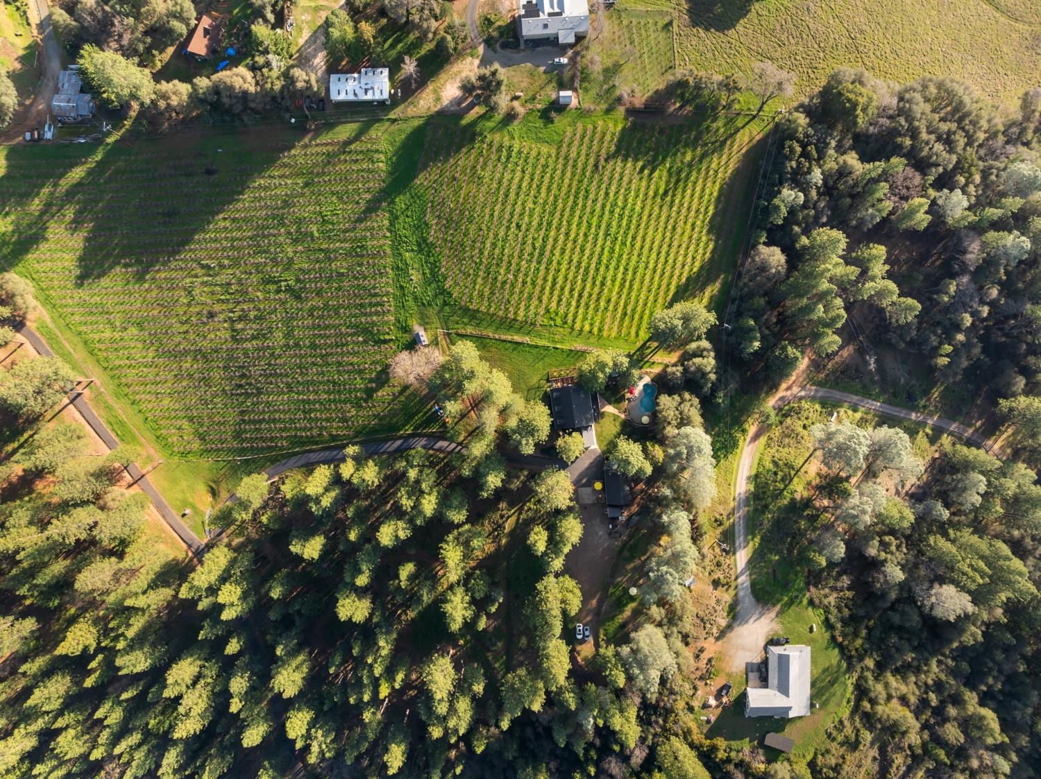 17476 Fiddletown Road