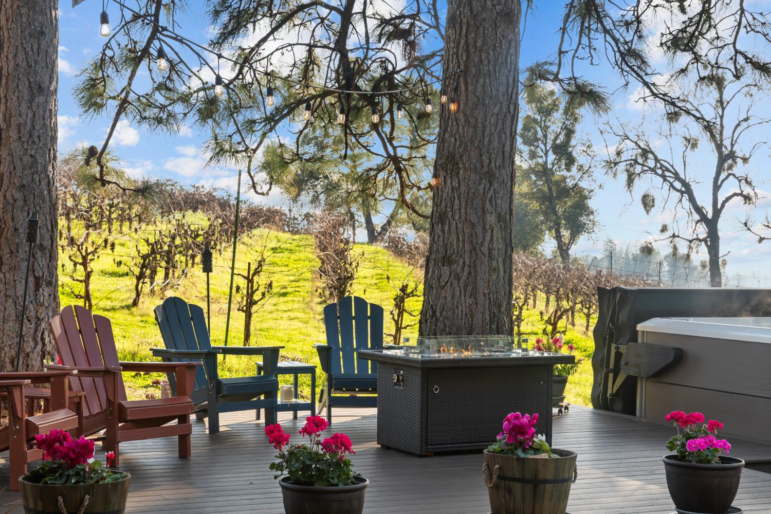 17476 Fiddletown Road