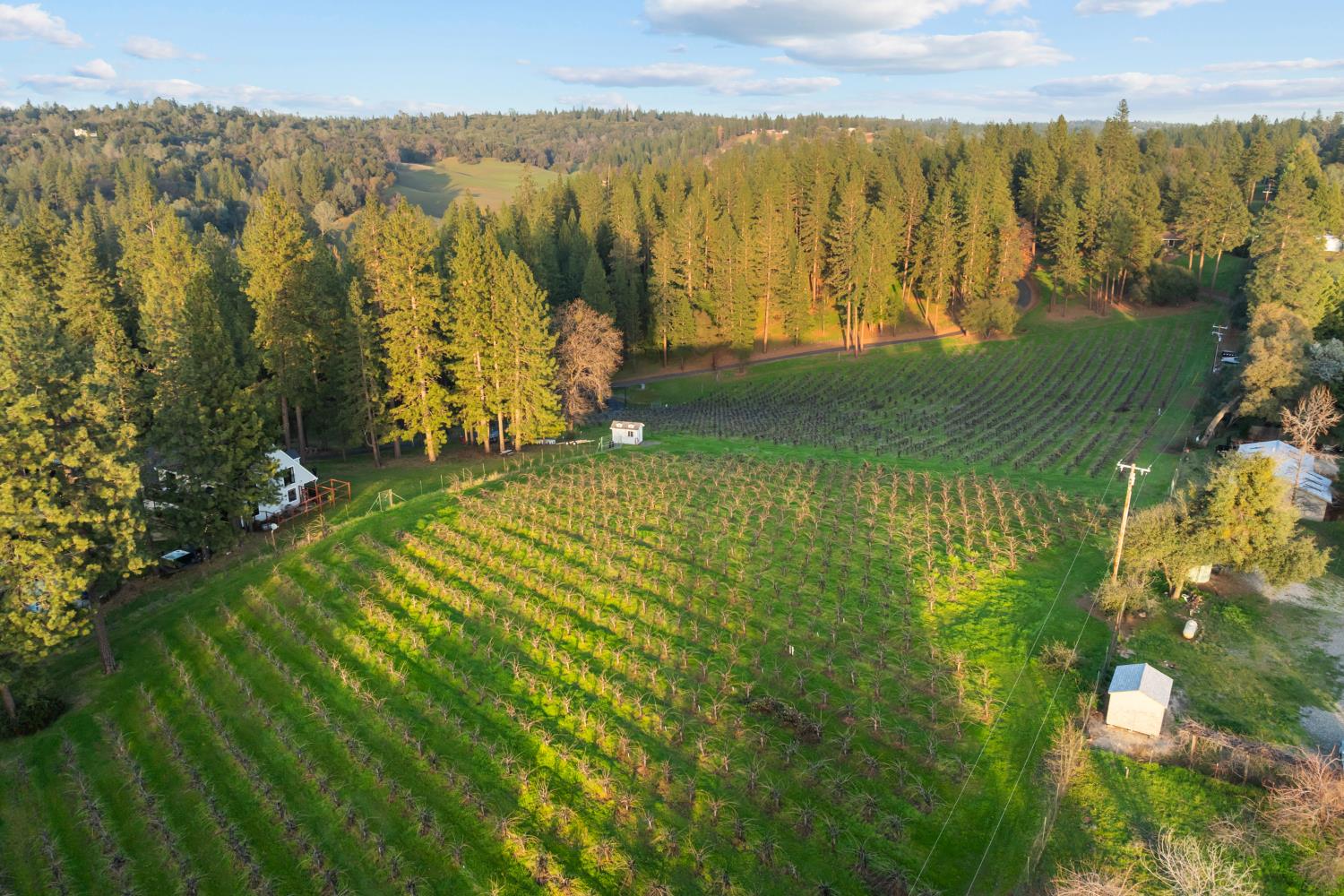 17476 Fiddletown Road