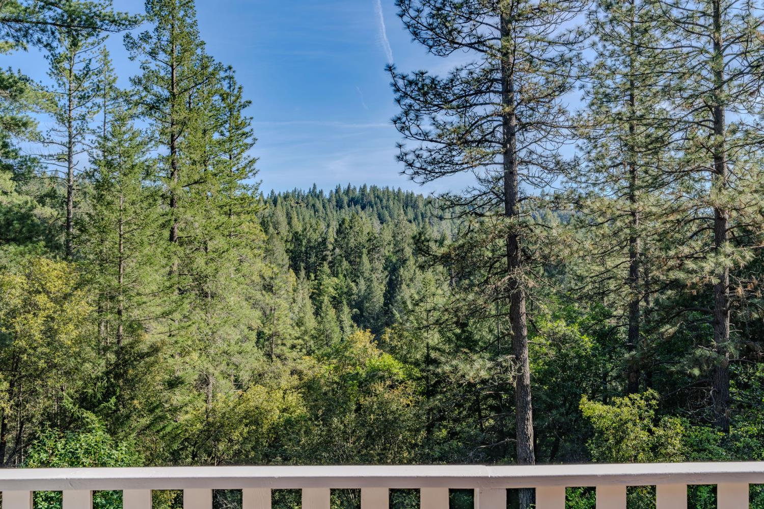 21640 Clute Canyon Road