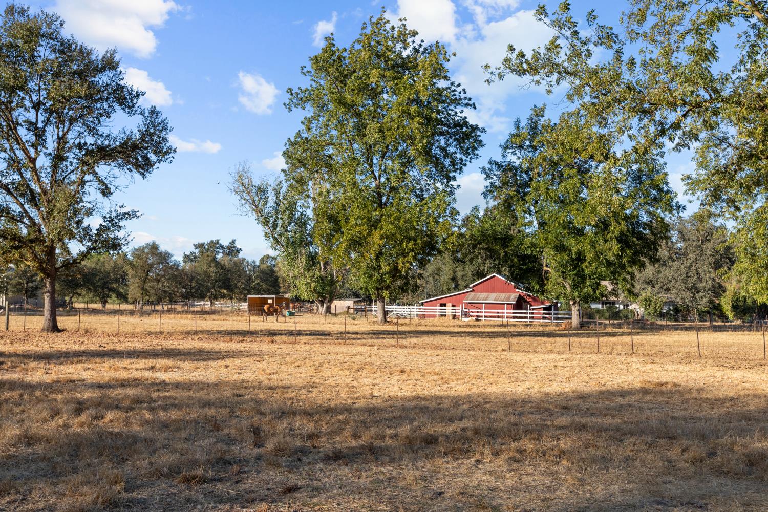 13088 Cherry Road