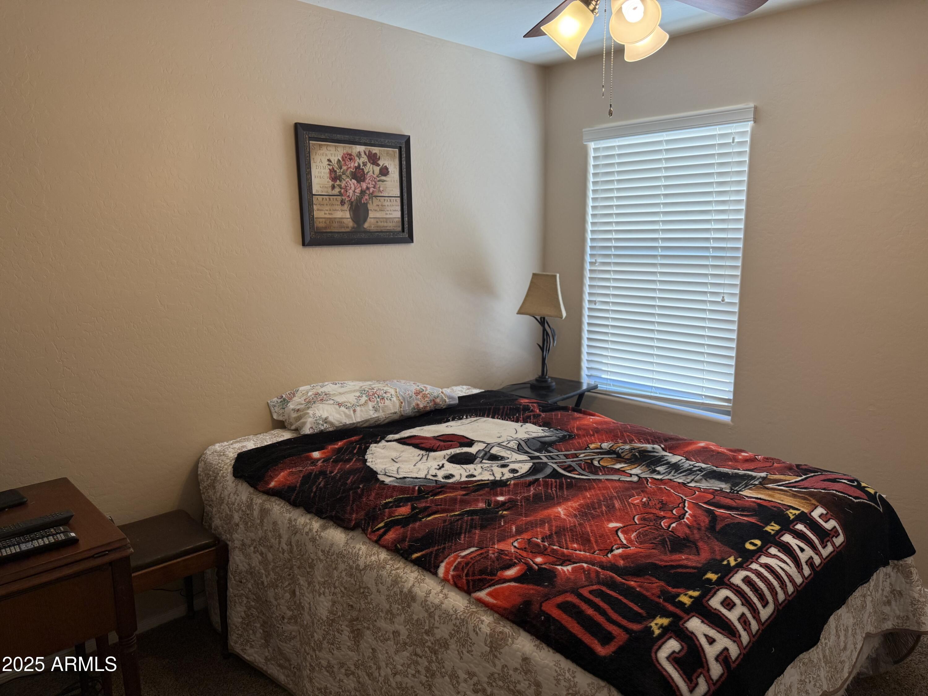 25697 W NANCY Lane