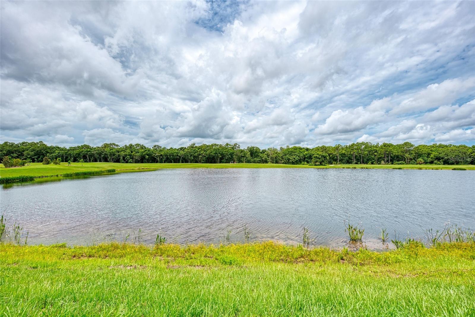 17704 GAWTHROP DR #207