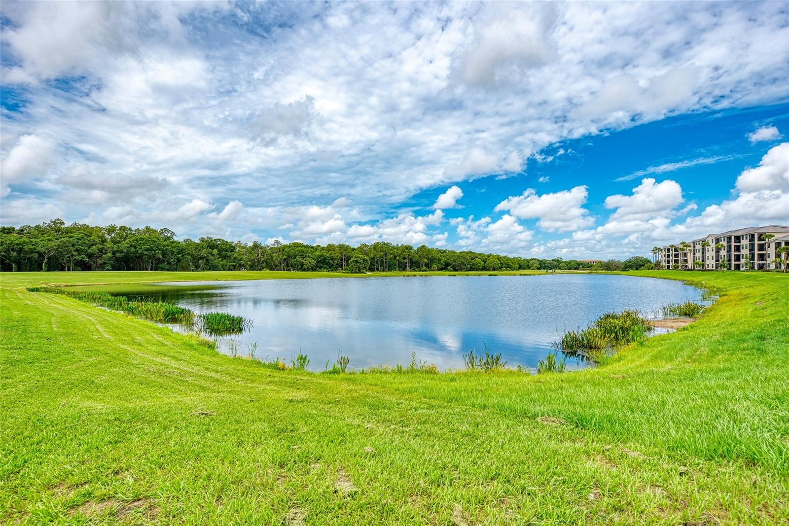 17704 GAWTHROP DR #207