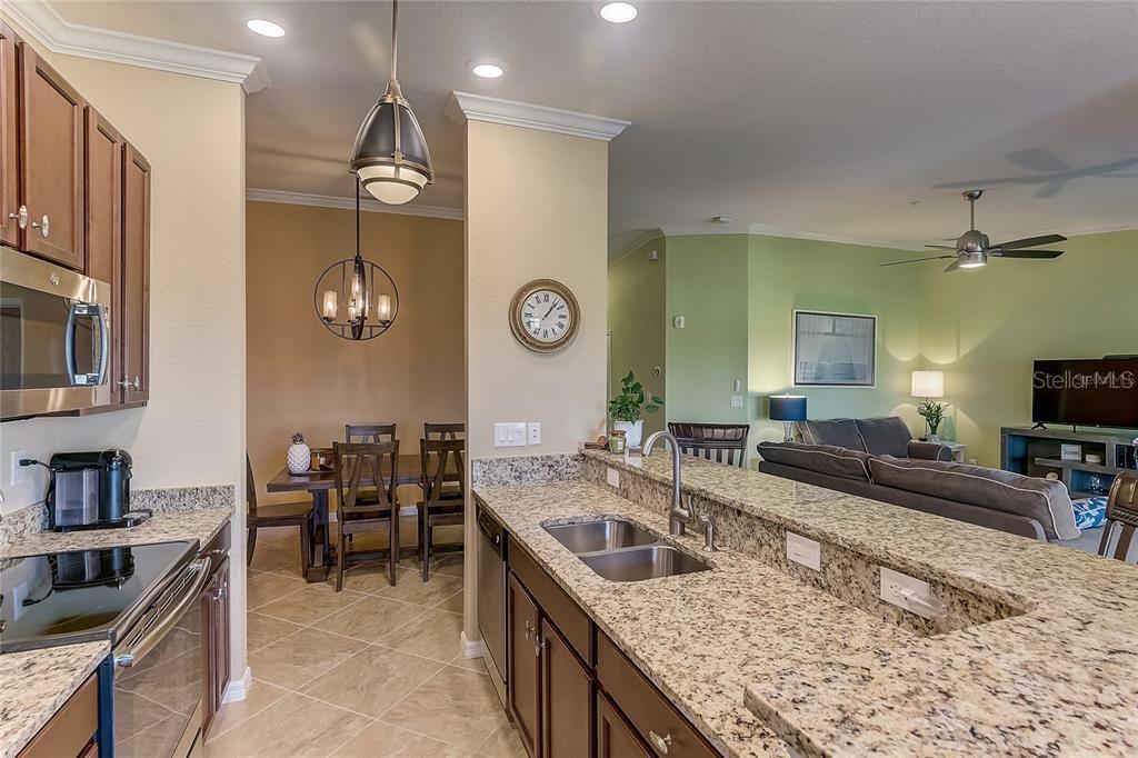 5517 PALMER CIR #203