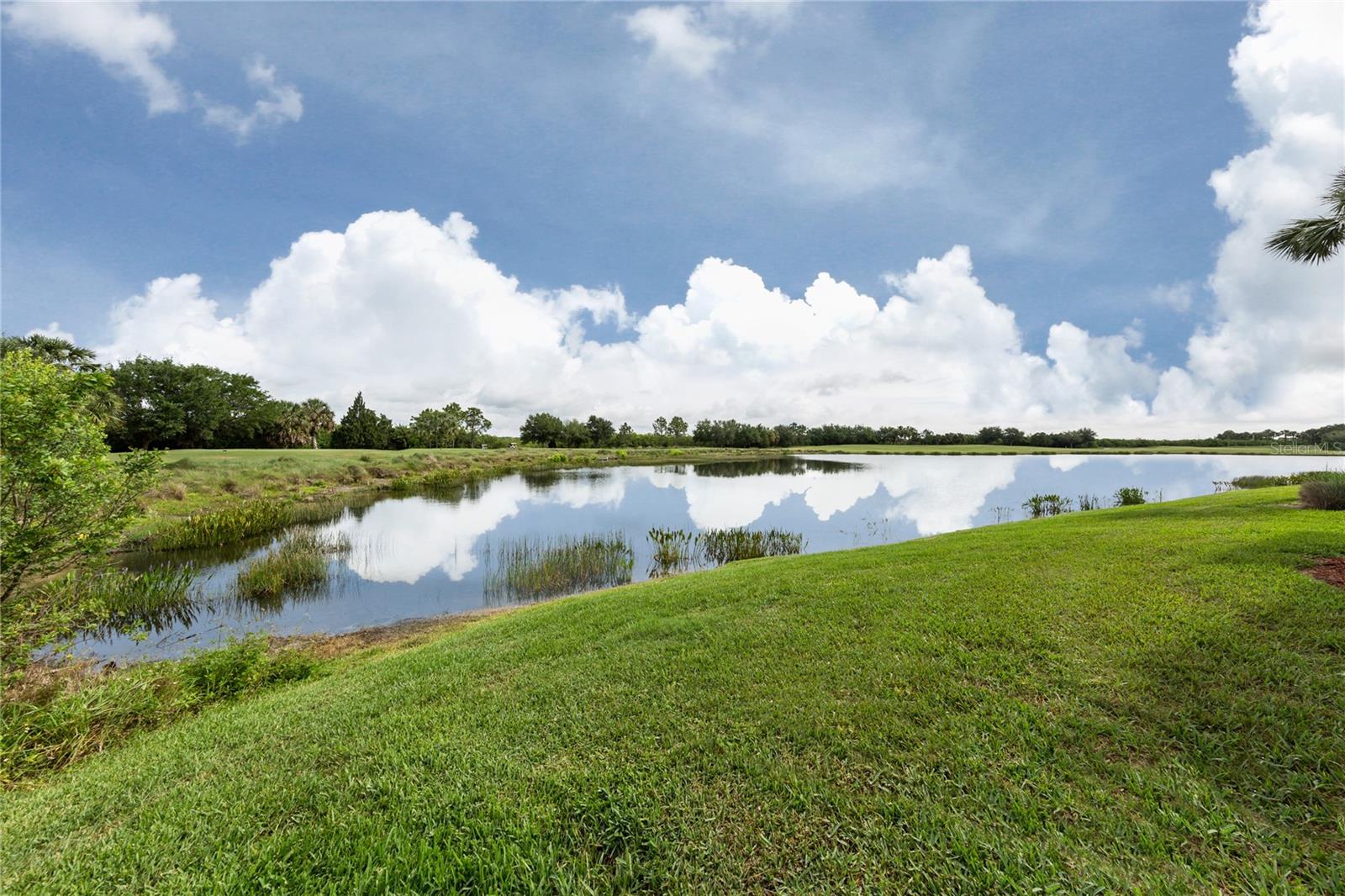 7005 RIVER HAMMOCK DR #301