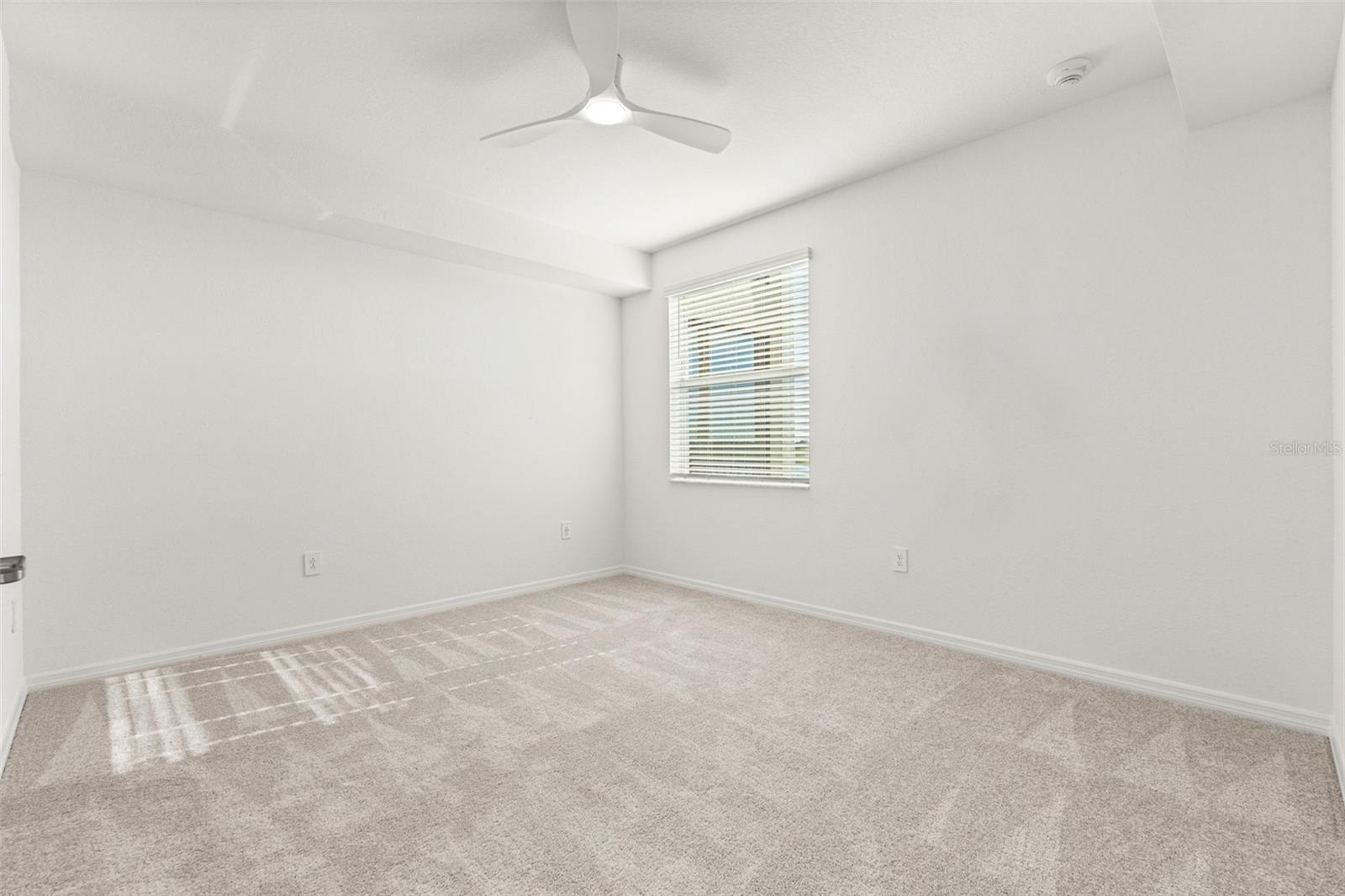 19140 SCALLOP LOOP #208