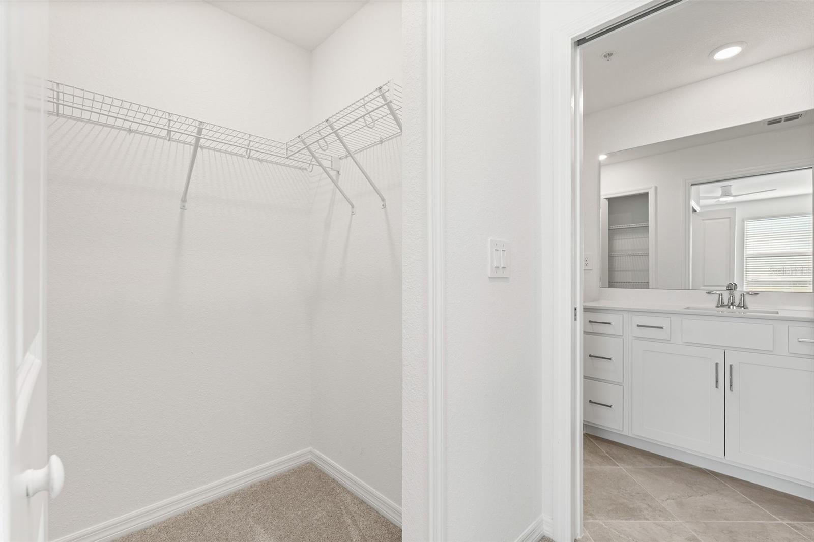 19140 SCALLOP LOOP #208