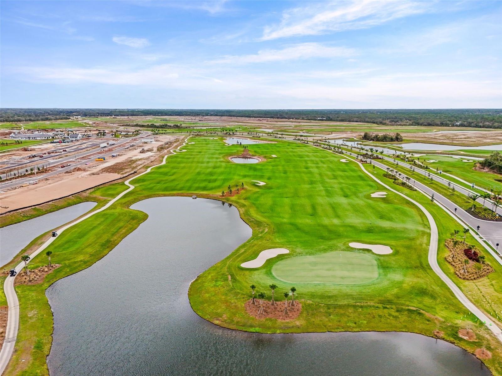 19140 SCALLOP LOOP #208