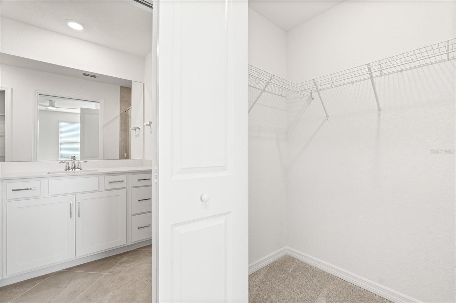 19140 SCALLOP LOOP #208