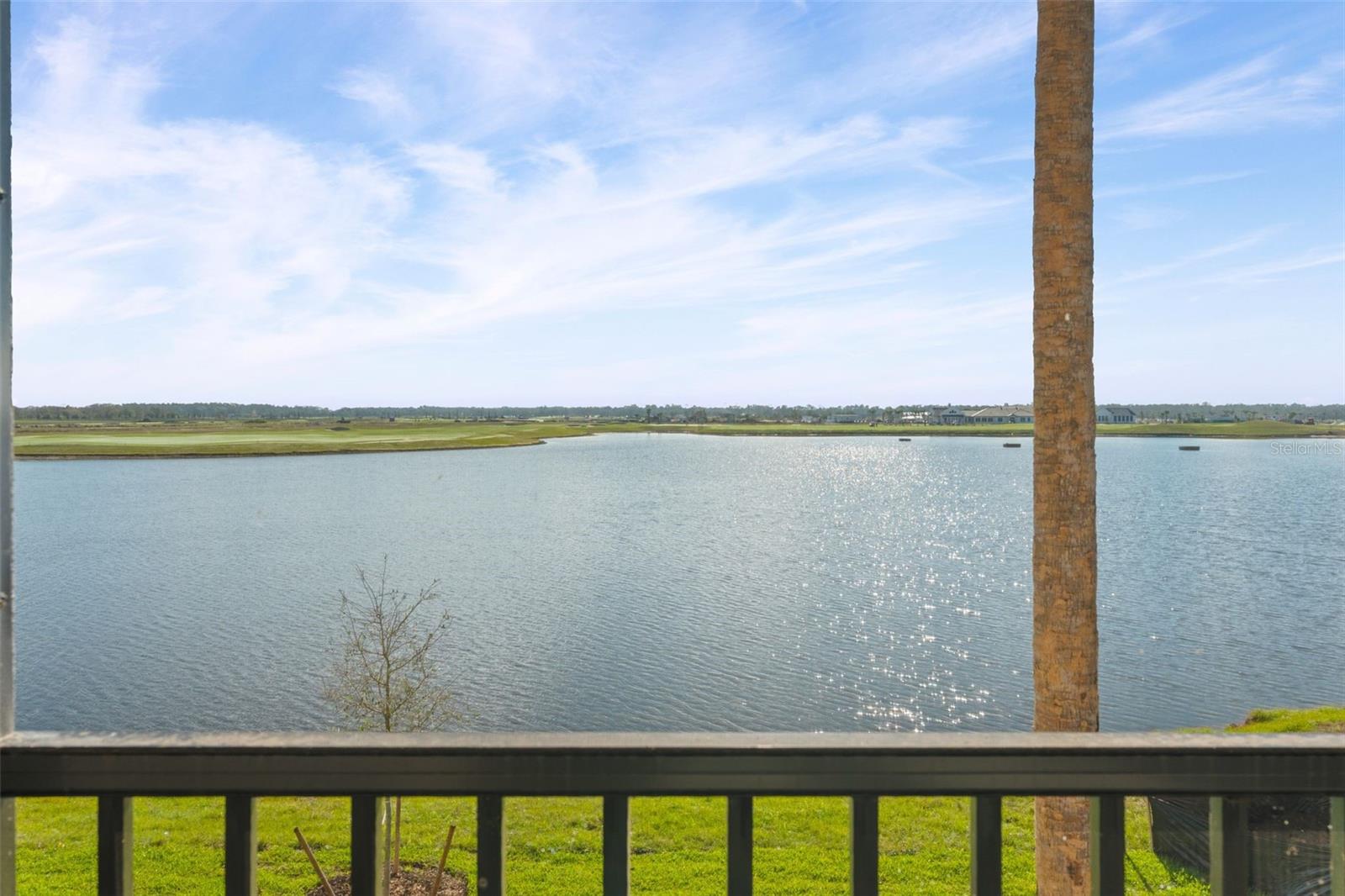 19140 SCALLOP LOOP #208