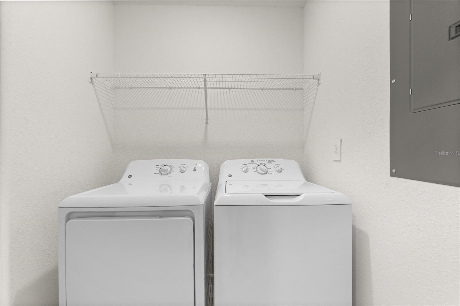 19140 SCALLOP LOOP #208