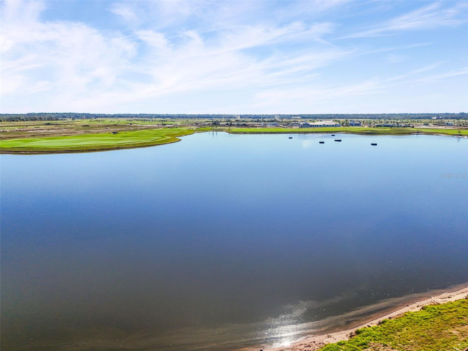 19140 SCALLOP LOOP #208