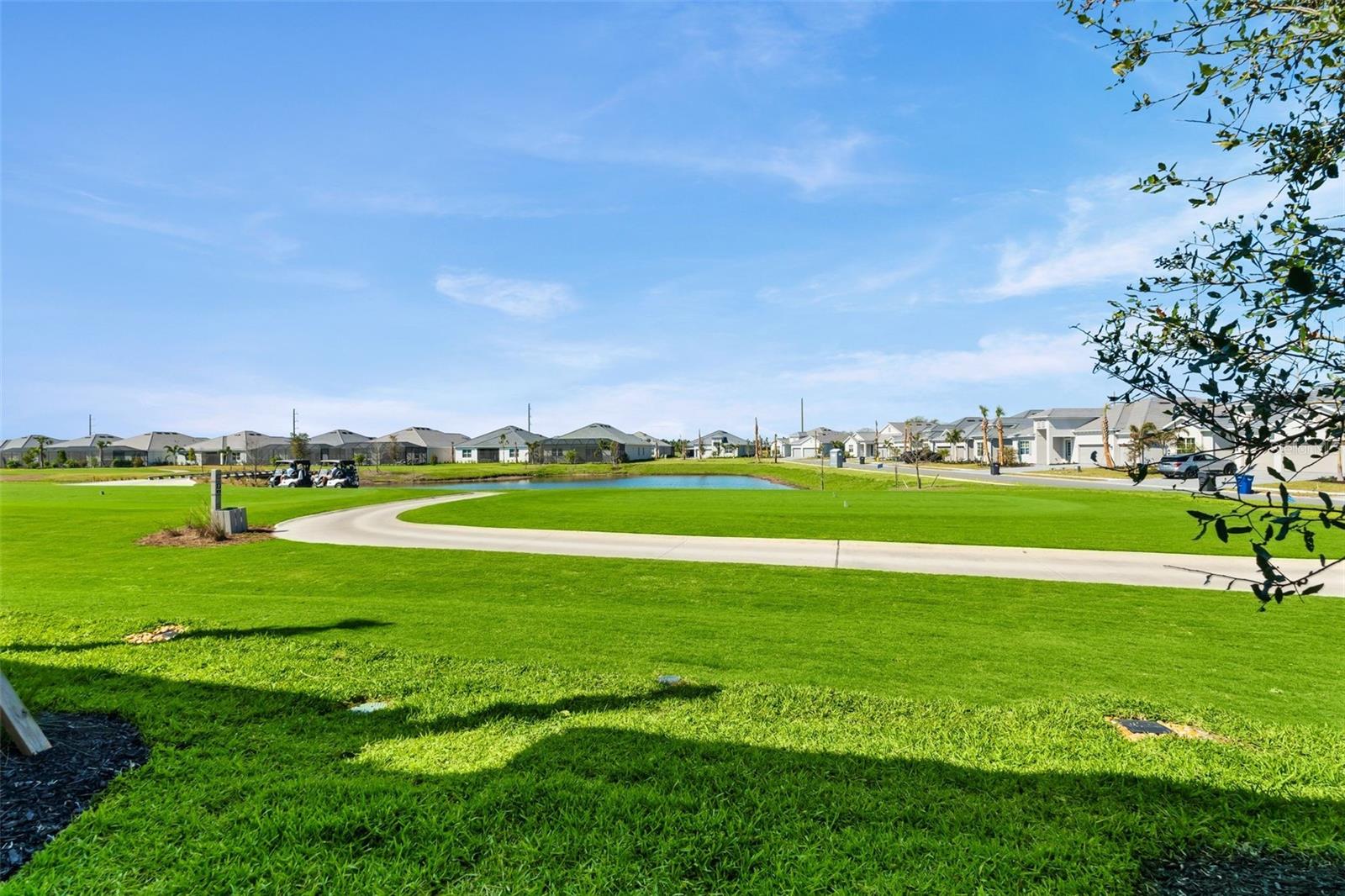 19015 SCALLOP LOOP #106