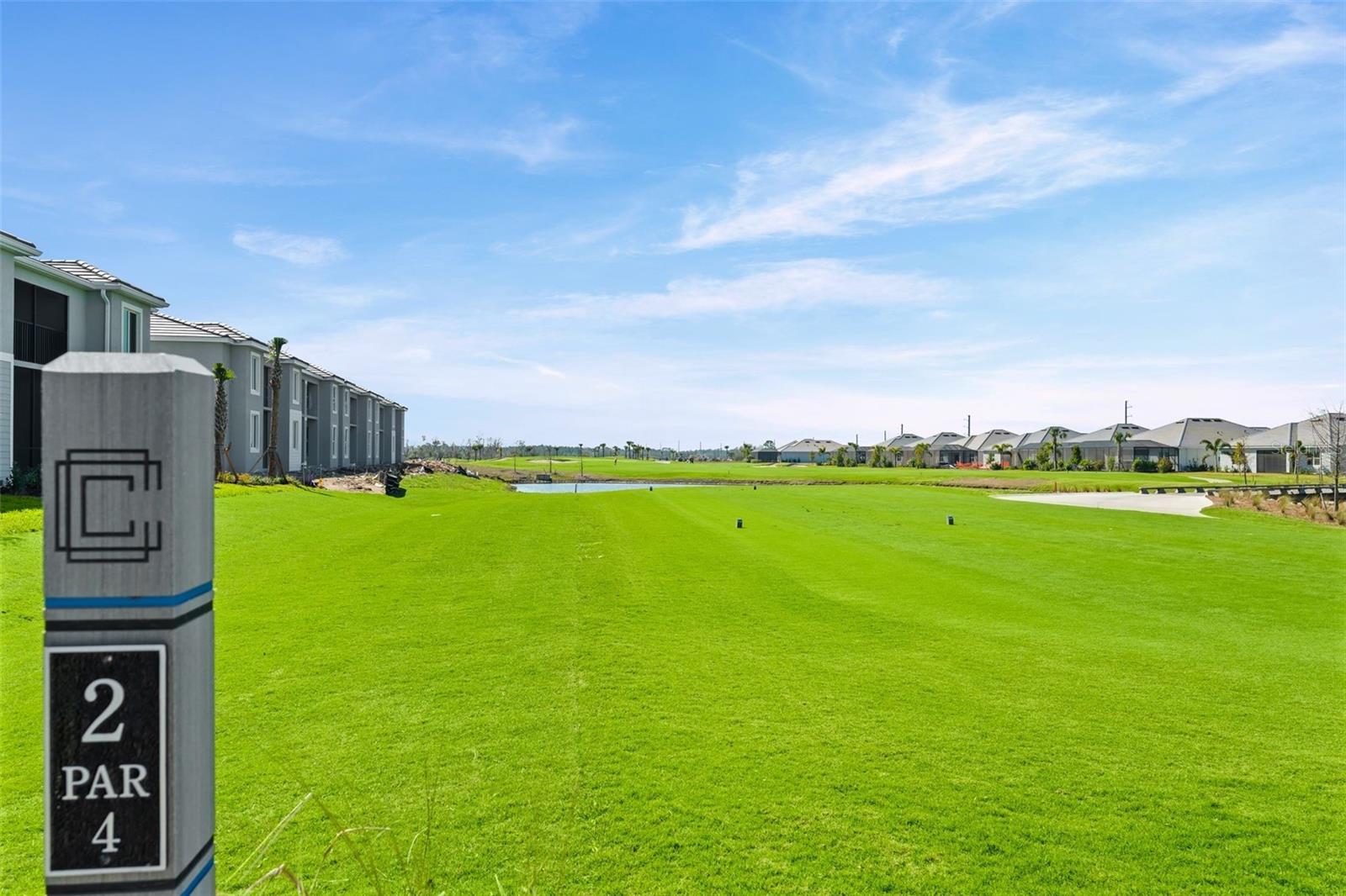 19015 SCALLOP LOOP #106