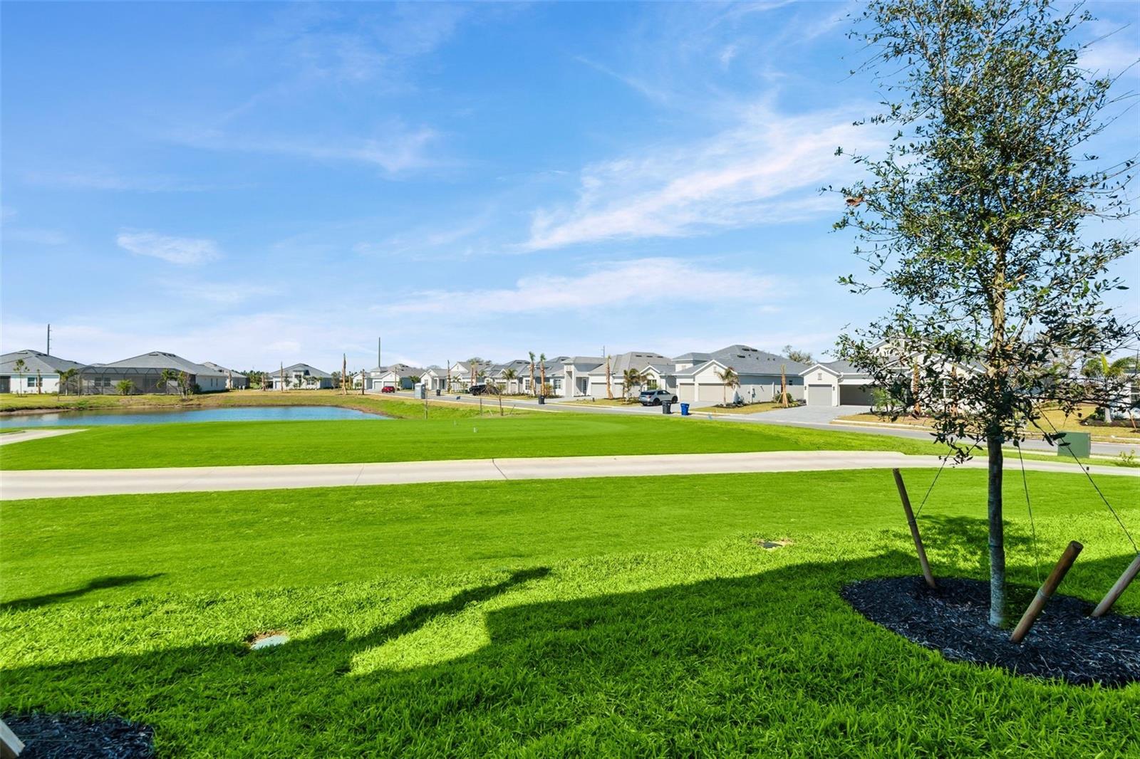 19015 SCALLOP LOOP #106