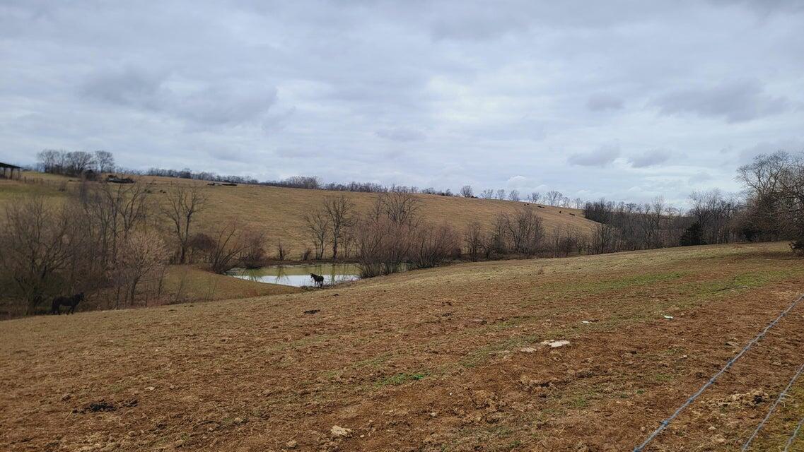 572 Butler Branch Road