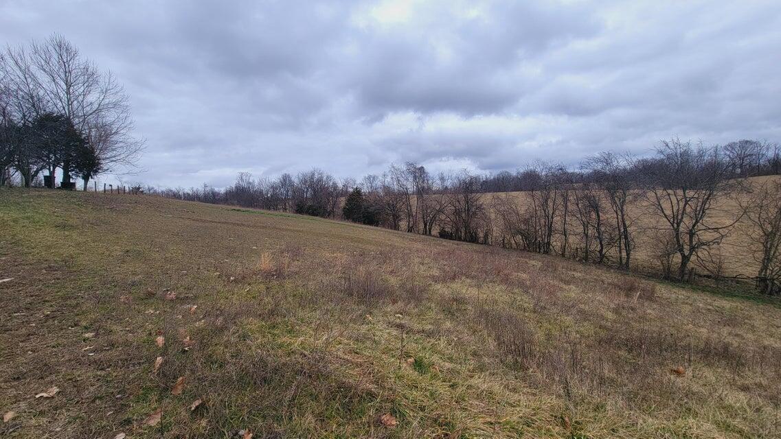 572 Butler Branch Road