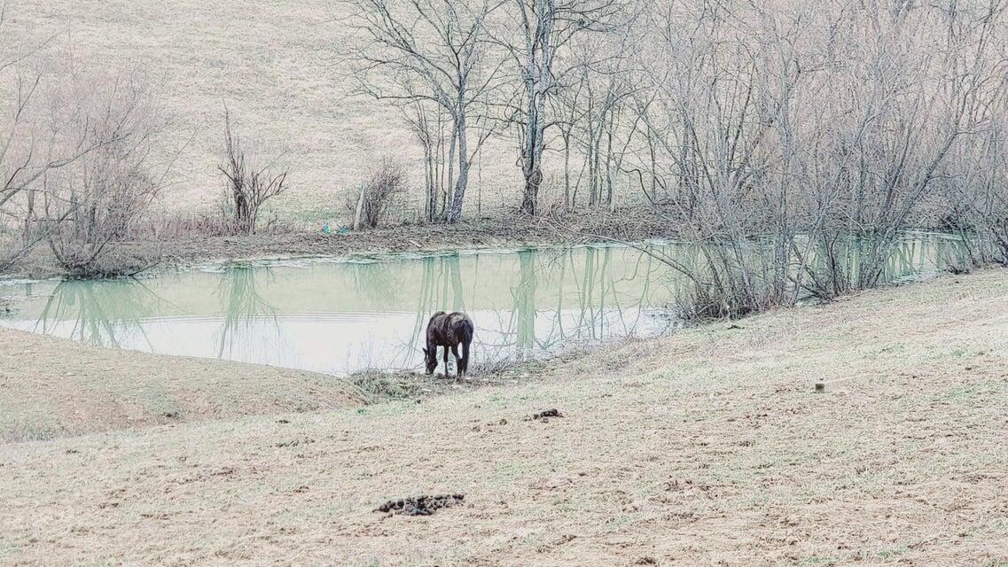 572 Butler Branch Road