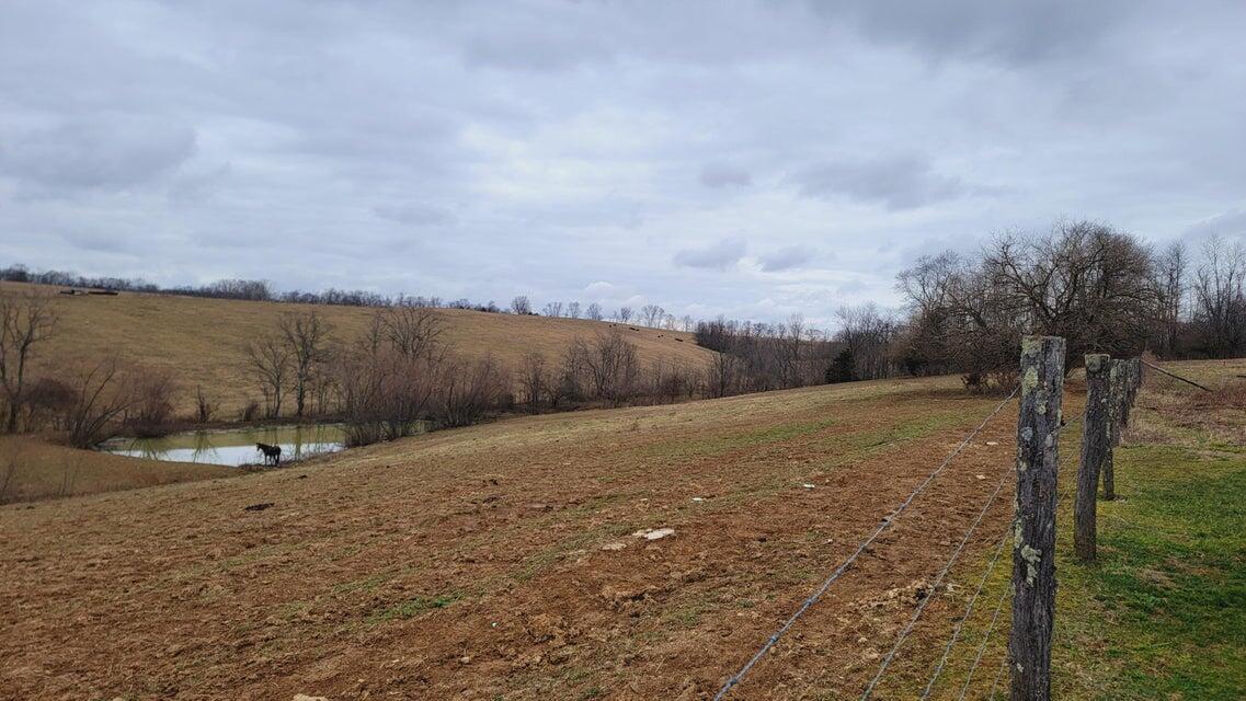 572 Butler Branch Road