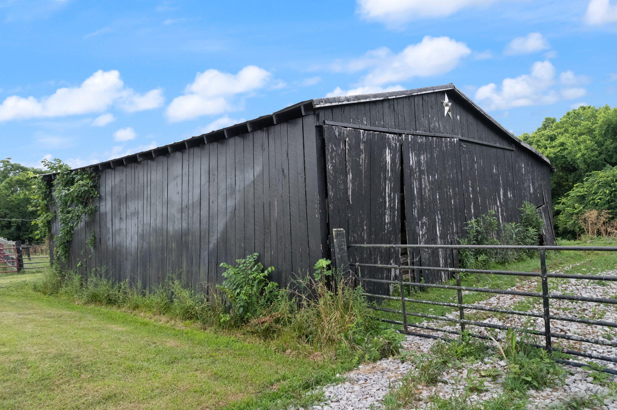 2359 Cane Run Road