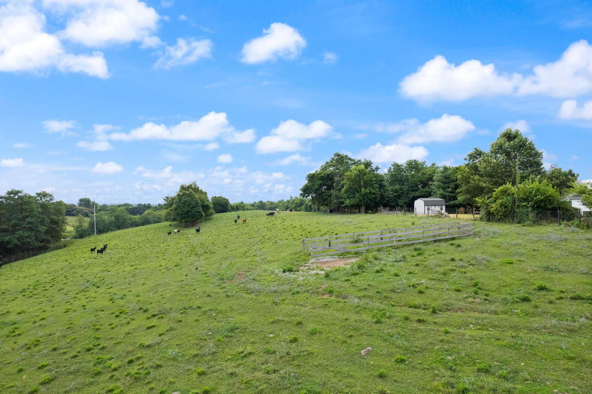 2359 Cane Run Road