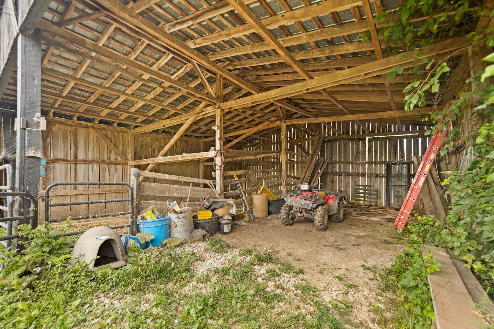 2359 Cane Run Road