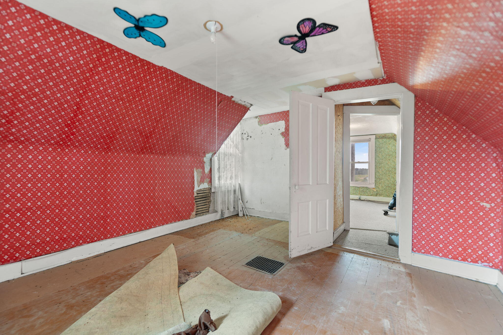 2359 Cane Run Road