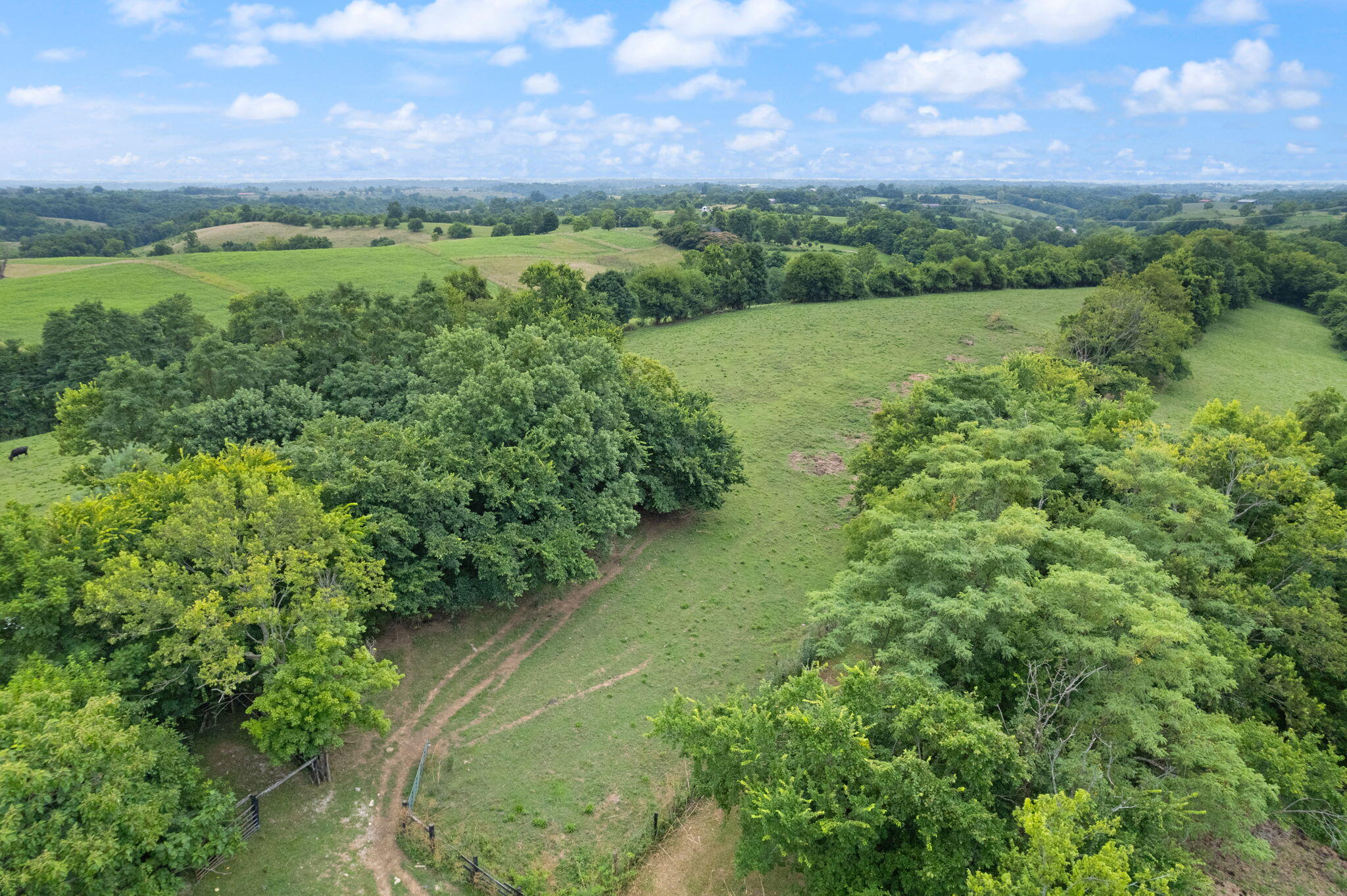 2359 Cane Run Road