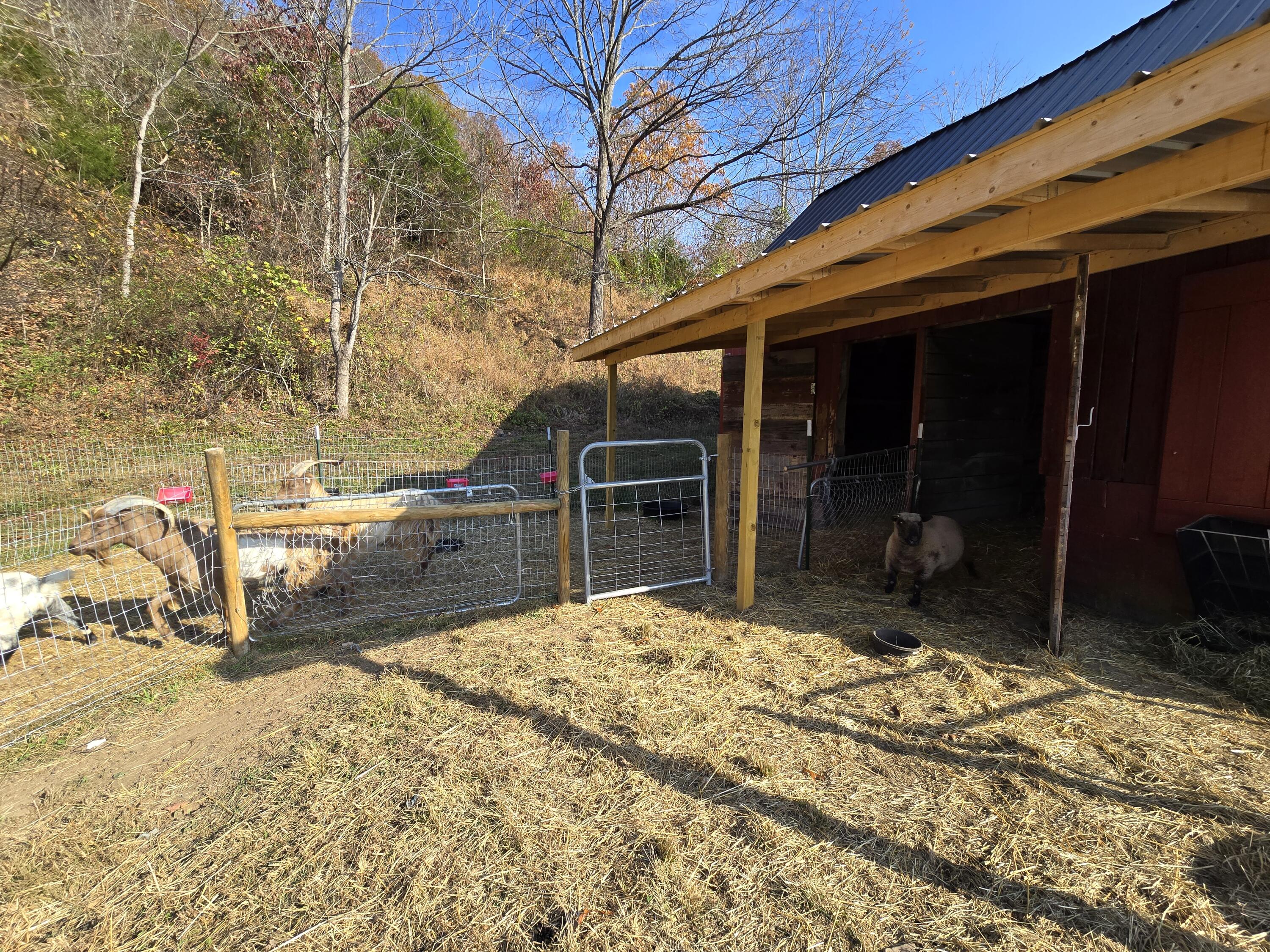 1650 Brushy Road