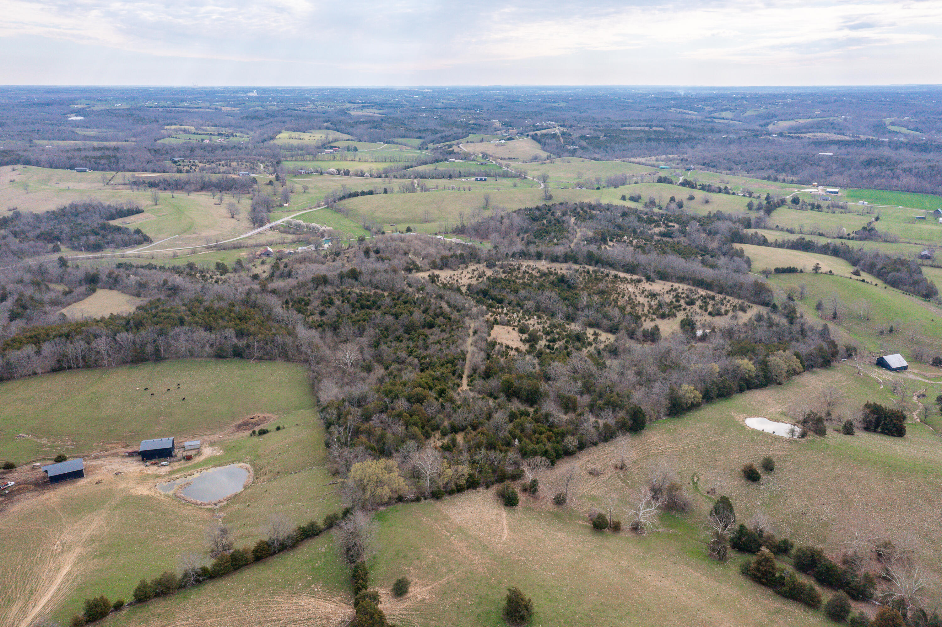 7800 Cornishville Road